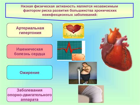 Физическая активность – неотъемлемая потребность организма