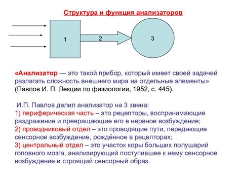 Физические принципы работы сенсорных эталонов