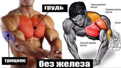 Физические упражнения для укрепления грудных мышц