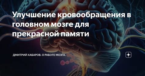 Физические упражнения для улучшения кровообращения в головном мозге