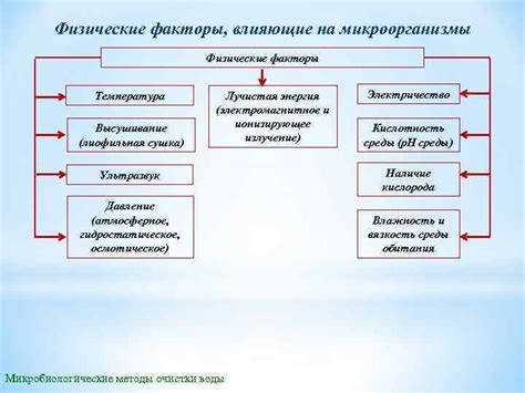 Физические факторы, влияющие на прикрепление водорослей