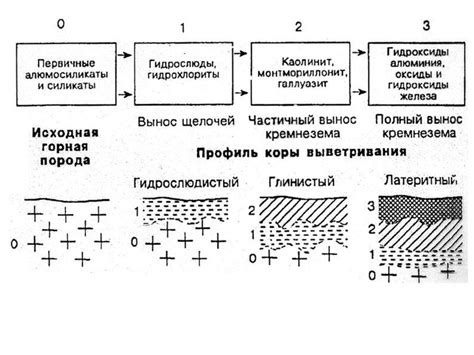 Физическое и химическое значение