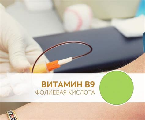 Фолиевая кислота в крови: причины, последствия, лечение