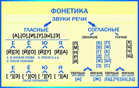 Фонетика гласных