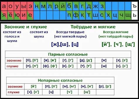 Фонетика согласных