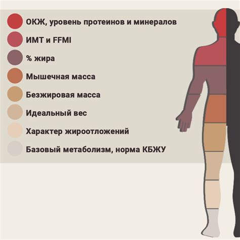 Форма тела и показатели