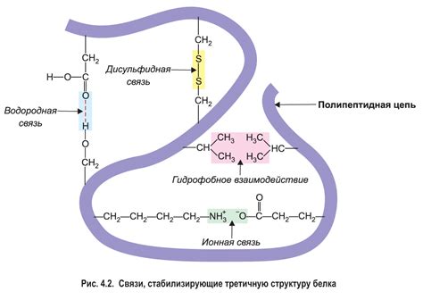 Формула и структура