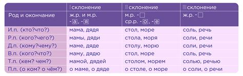 Формы по числу и падежу в русском языке