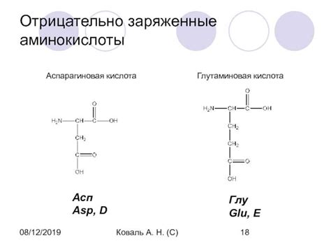 Функции аспарагина и аспарагиновой кислоты в организме