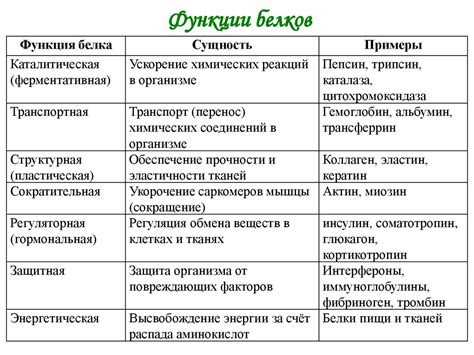 Функции белков и их многообразие