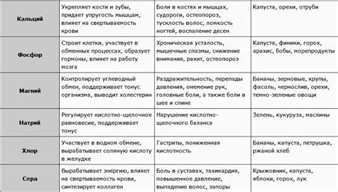 Функции белого вещества в организме