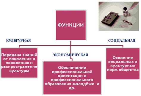 Функции подкоркового образования