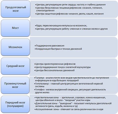 Функции трубки разгрузки на ЦНС