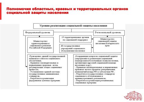 Функция представительства и защиты интересов населения: роль органов власти