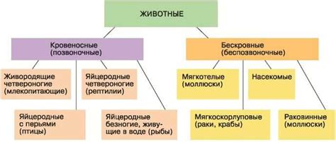 Характеристики живых организмов, отнесенных к царствам