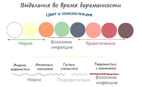 Характеристики цвета и консистенции выделений