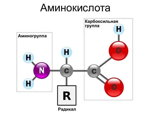 Химическая структура D-аминокислоты