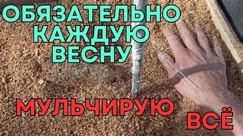 Химические средства для защиты приствольных кругов