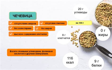 Химический состав и полезные свойства