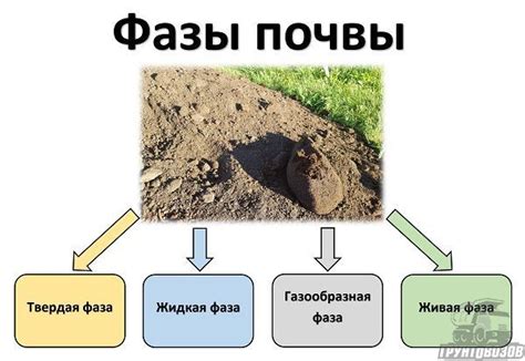 Химический состав почвы и скорость поглощения воды