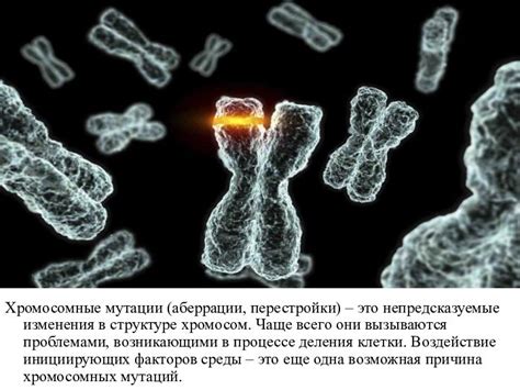 Хромосомные мутации: определение и причины