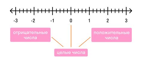 Целое отрицательное число: примеры и характеристики