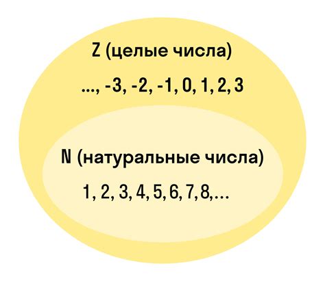 Целое число: что это и как его записать