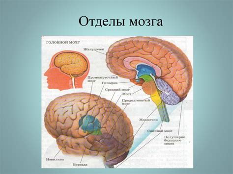 Цель и значение ГИА в школе 11 класс