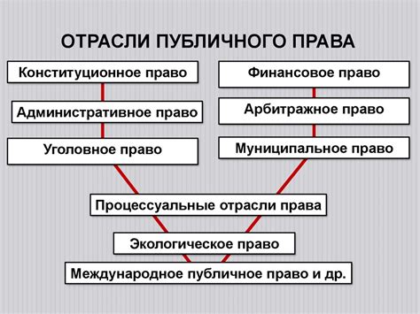 Центральная категория публичного права