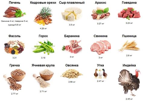 Цинк в продуктах питания: полезные источники