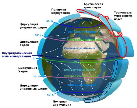 Циркуляция как фундамент жизнедеятельности