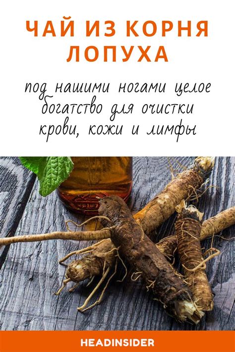 Чай из корня лопуха для укрепления иммунитета