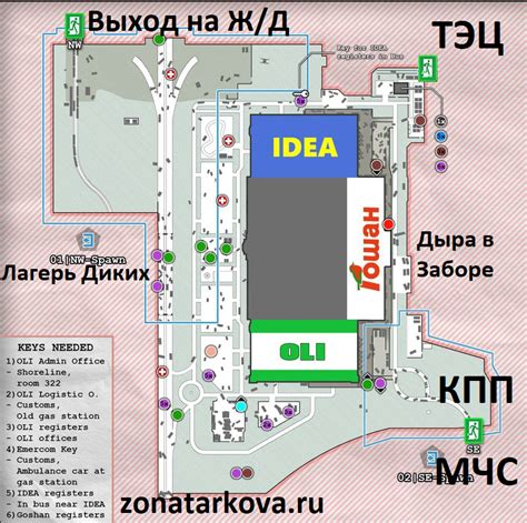 Частые выходы в магазин за зеленью