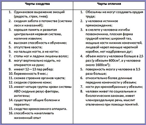 Человек и животное: отличия в биологии