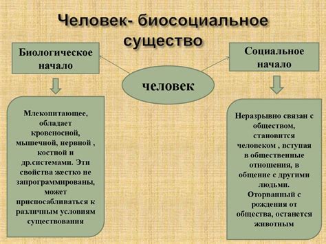 Человек - млекопитающее существо: научное объяснение