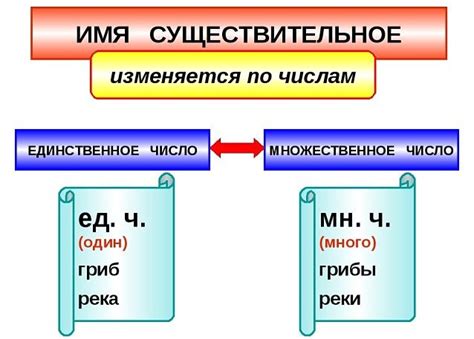 Число существительных в русском языке: