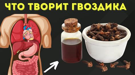 Чистотел помогает бороться с болезнями