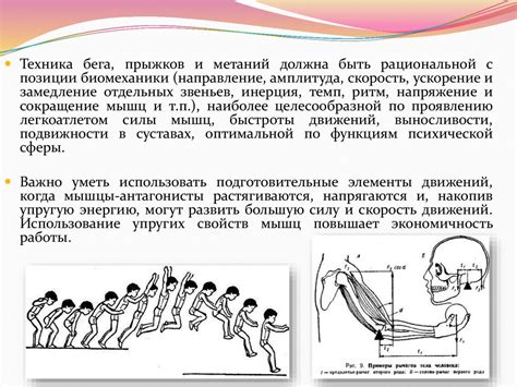 Что включено в перечень упражнений легкой атлетики?