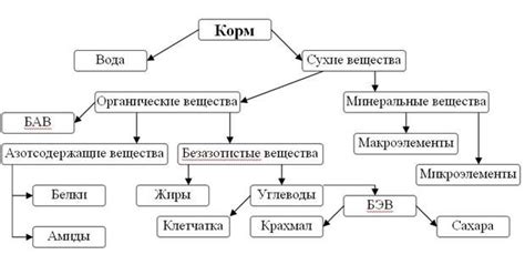 Что входит в понятие энергетической питательности корма?