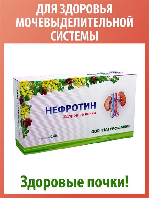 Что входит в состав Нефротин капсул