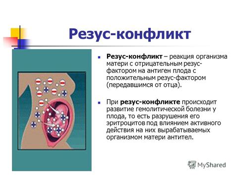 Что вызывает резус-конфликт?