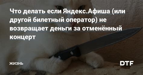 Что делать, если оператор не возвращает деньги