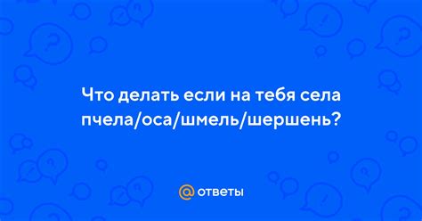 Что делать, если пчела села на тебя?