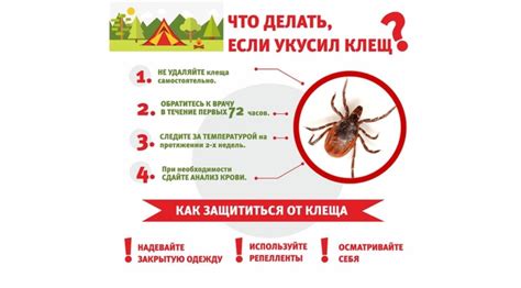 Что делать, если ребенка укусил энцефалитный клещ?