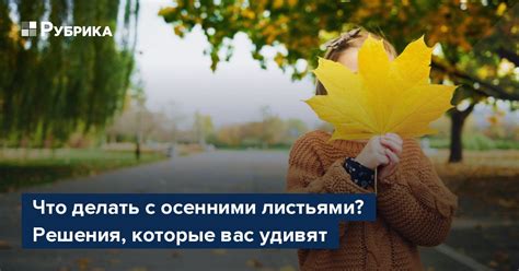 Что делать с собранными осенними листьями