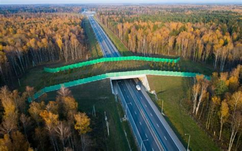 Что дети могут делать в заповедниках