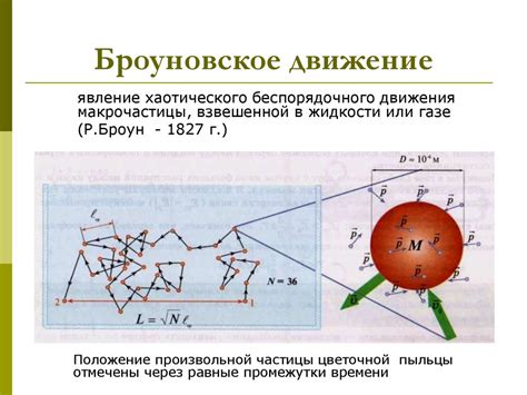 Что доказывает броуновское движение в физике