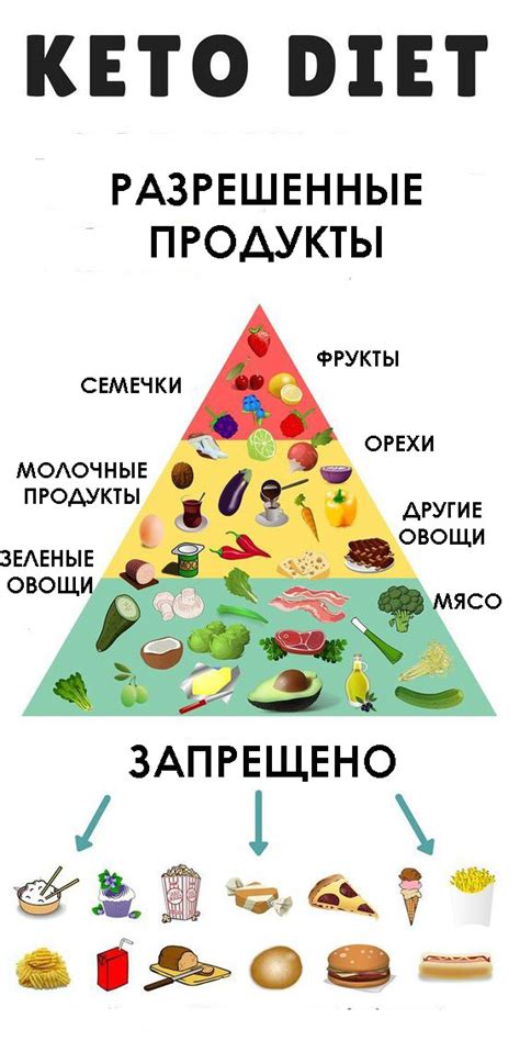 Что есть на диете: список разрешенных продуктов