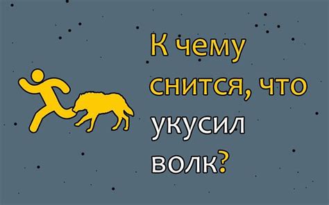 Что значит сон, в котором волк укусил за ногу?