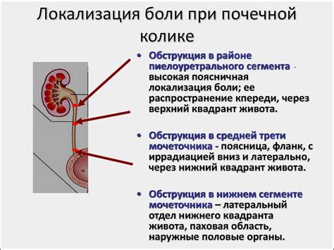 Что необходимо исключить из рациона при коликах в почках?